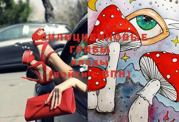 дурь Володарск