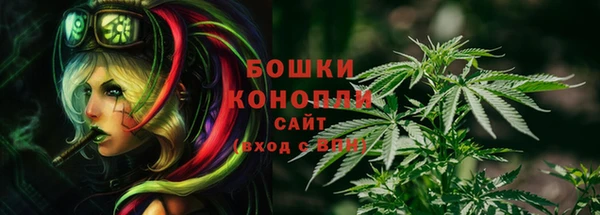 дживик Волоколамск